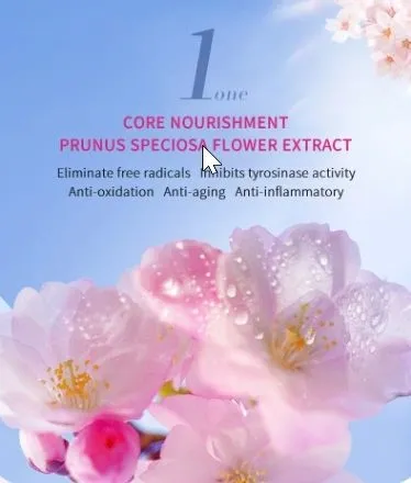 BEKAY Organic Cherry Blossom Skincare Set